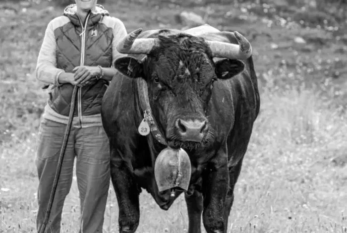 Coolturalia - Philo aux Bains: Science, Knowledge and Mysteries of the Animal Body