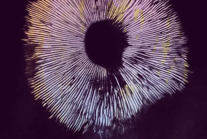 Coolturalia - Special Screening: The Mushroom Speaks