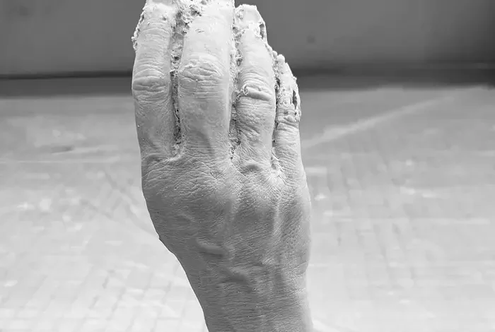 Coolturalia - VideoDatabase - 2nd Carte blanche: Lucy Nightingale