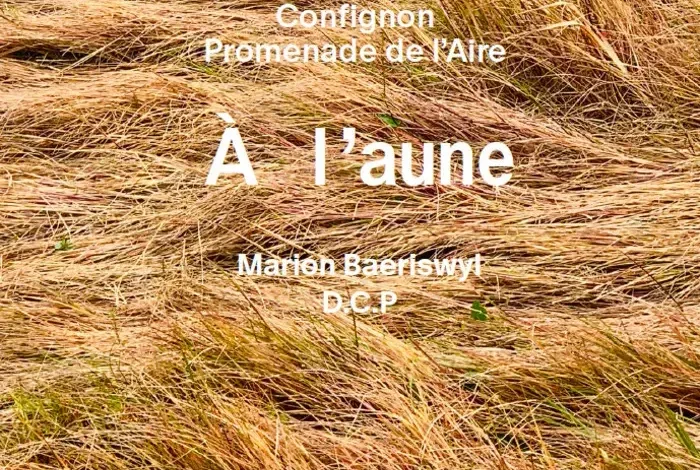 Coolturalia - A l'aune — choreographic promenade