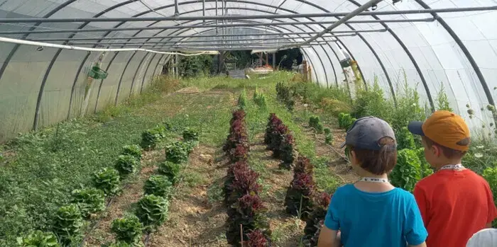 Coolturalia - From Field to Plate