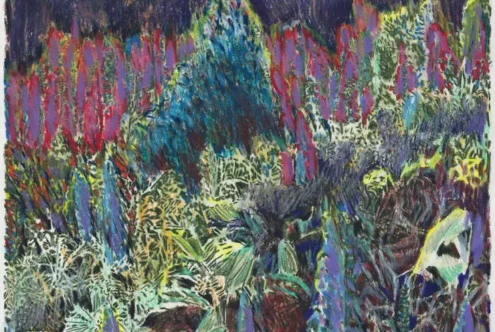 Coolturalia - Jessica Decorvet — Paysage Impossible