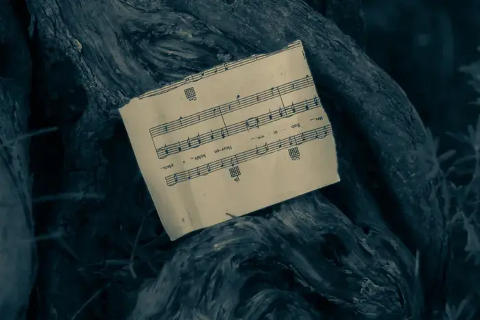 Coolturalia - Music and Ecology: Connections and Challenges