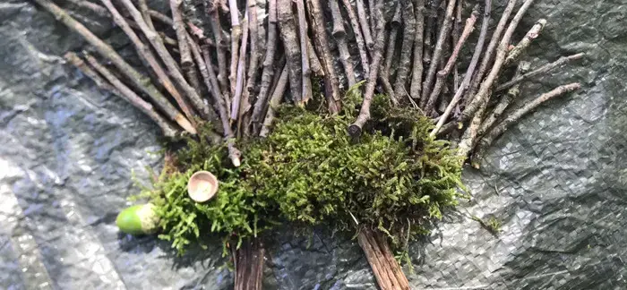 Coolturalia - Save the Hedgehogs!