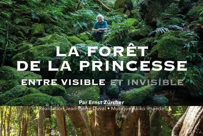 Coolturalia - Special Screening: La forêt de la princesse, entre visible et invisible