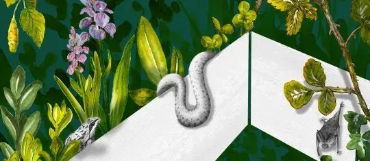 Coolturalia - Sustainability Festival