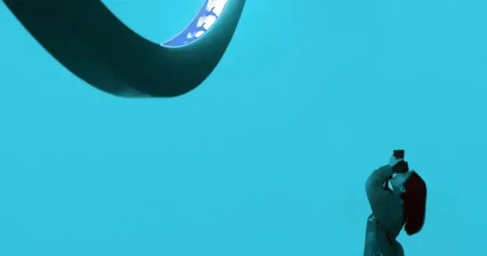 Coolturalia - Wearing Your Religion: How Labor Markets Price Visible Identity