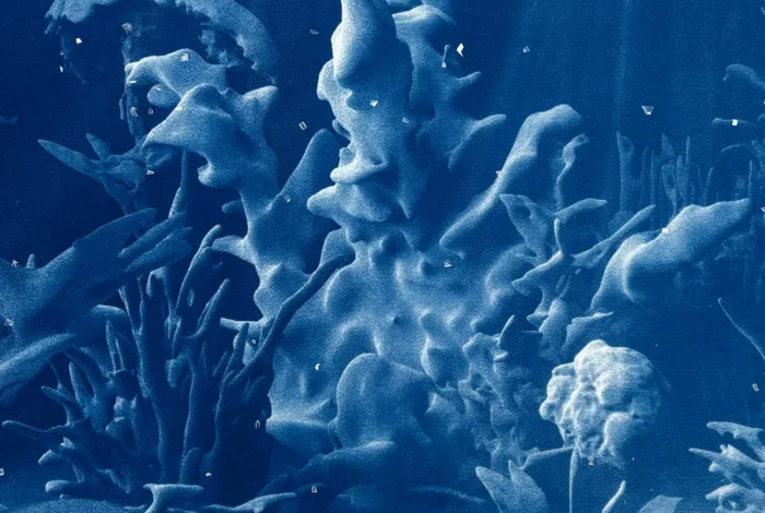 Coolturalia - Collectif_fact Afterimage