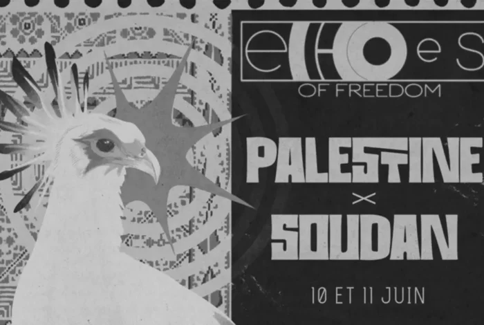 Coolturalia - Echoes of Freedom: Palestine x Sudan