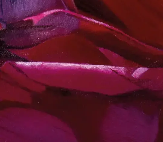Coolturalia - Poussière de crotte dans le coeur d’une diva