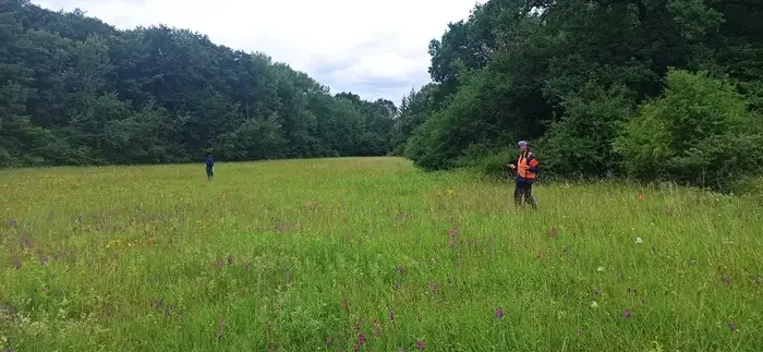 Coolturalia - Between preserving and intervening: what future for endangered plants in Geneva?