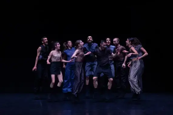Coolturalia - Festival de la Bâtie - My Fierce Ignorant Step