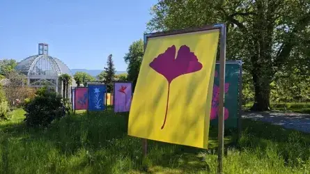 Coolturalia - Hortus Botanicus Helveticus — 30 Years, 30 Gardens, 30 Iconic Species