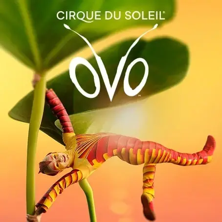 Coolturalia - Ovo - Cirque du Soleil