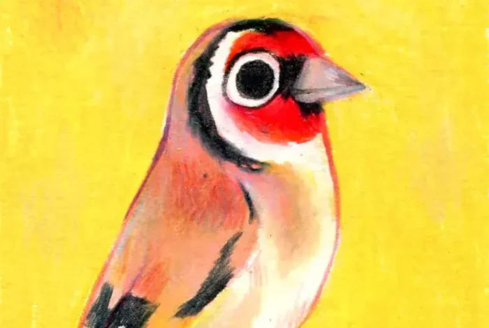 Coolturalia - The Dance of the Birds