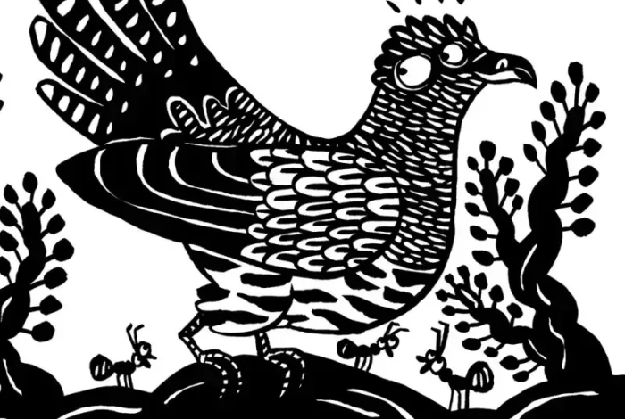 Coolturalia - What a Cheeky Cuckoo!