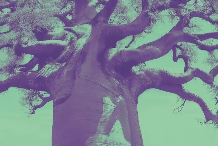 Coolturalia - Baobab's New Fables