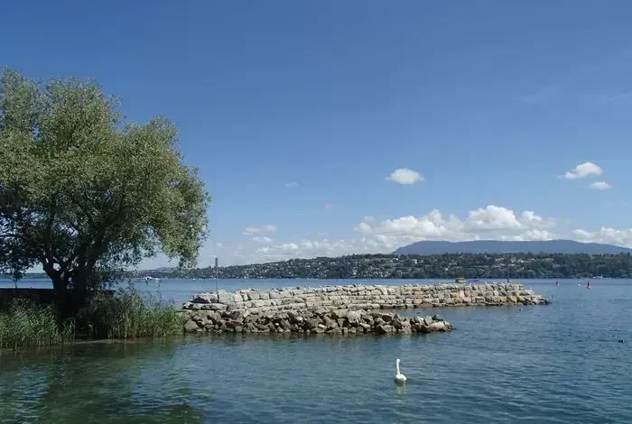 Coolturalia - Lakeshore Walk: Landscape and History