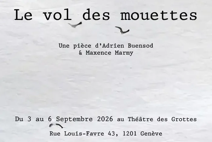 Coolturalia - Le vol des mouettes