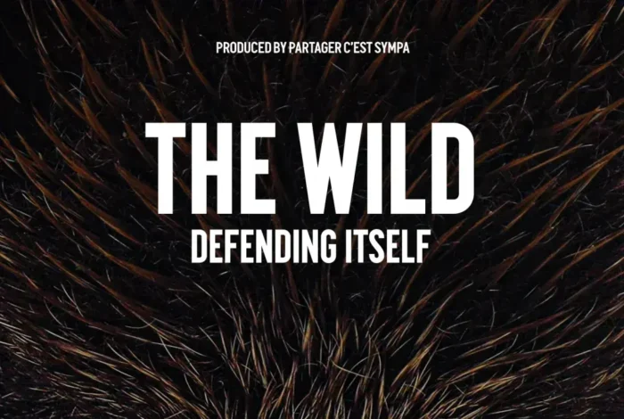 Coolturalia - The Wild — Screening and Discussion