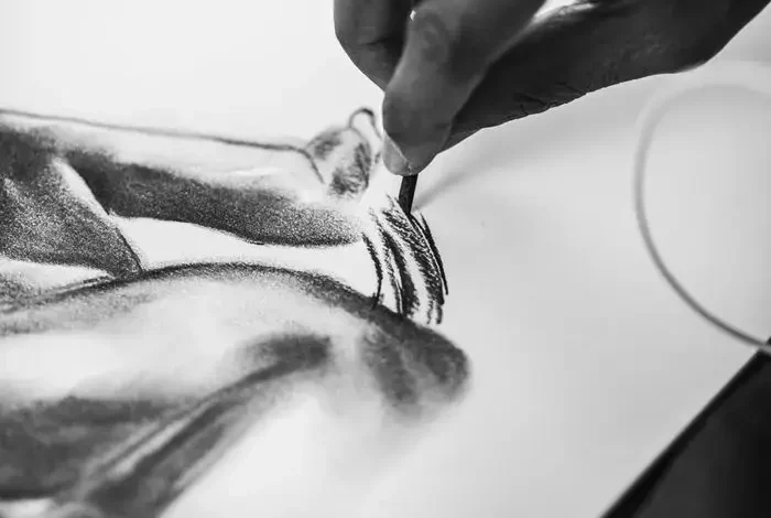 Coolturalia - Anima Sana — Artist Dialogue & Creative Sessions
