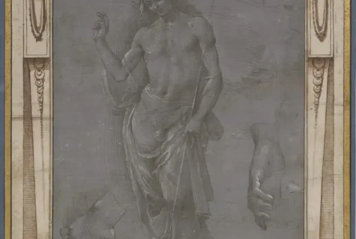 Coolturalia - Assembling a Collection of Drawings in the 18th Century