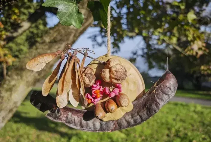 Coolturalia - Autumn Colours & Plant Art