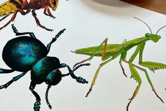 Coolturalia - Bugs Between the Pages