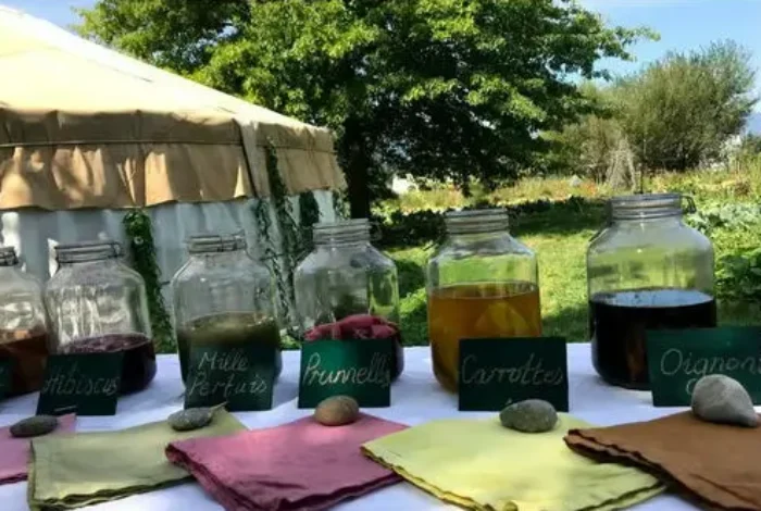 Coolturalia - Dye Plants Workshop and Garden Visit