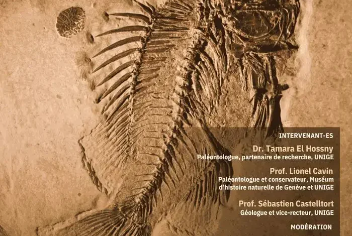Coolturalia - Fossils: Chronicles of the Earth — Documentary and Roundtable