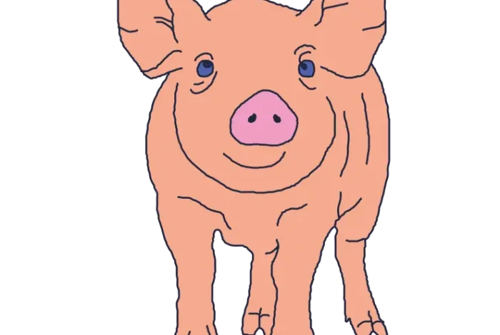 Coolturalia - Le Cochon enchanté