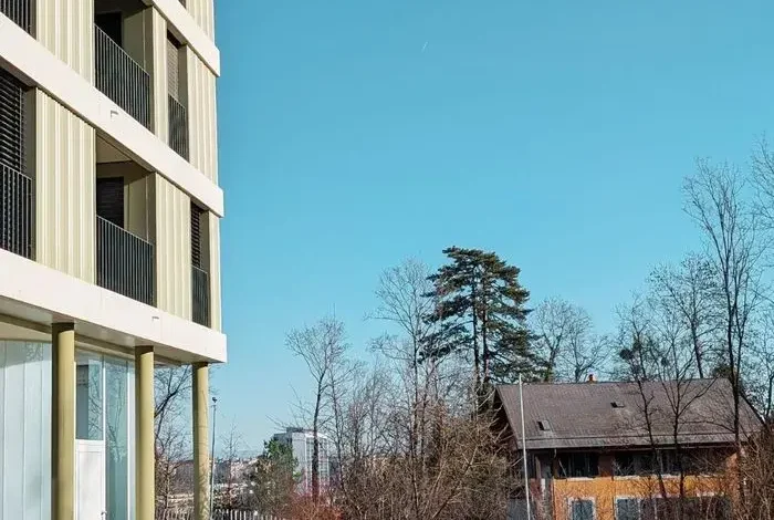 Coolturalia - Neighborhood Explorers