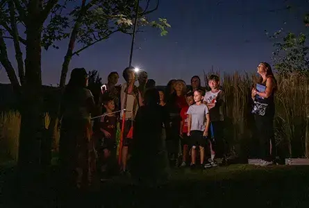 Coolturalia - Night of the Bats 2026