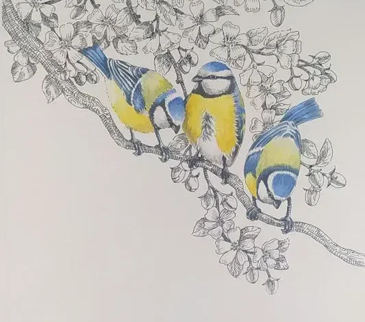Coolturalia - Reveal the Birds' Secrets