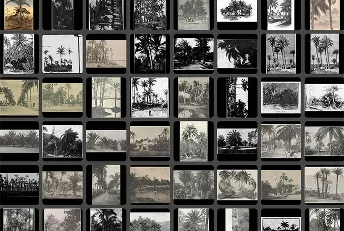 Coolturalia - Understanding the Global Circulation of Images