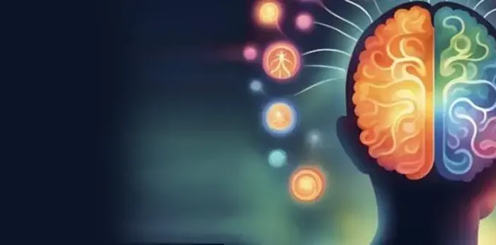 Coolturalia - Beyond Appearances: Immersive Circuit