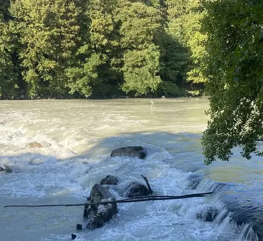 Coolturalia - From the City to the Arve: Nature Immersion