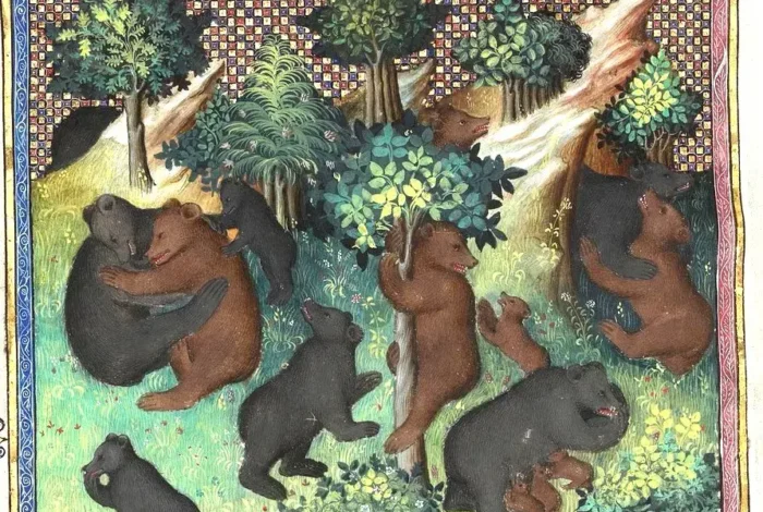 Coolturalia - Michel Pastoureau – L’ours européen. Une histoire culturelle.
