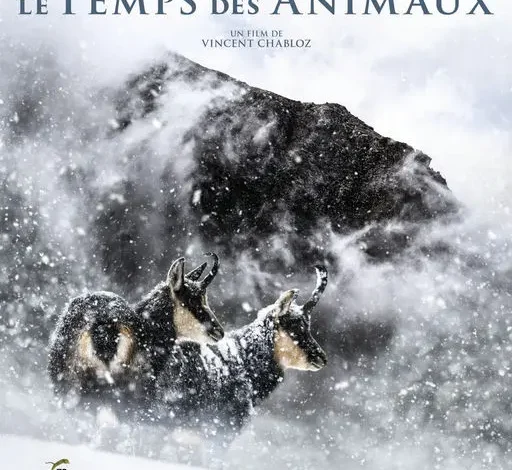 Coolturalia - Preview: Derborence - The Time of Animals