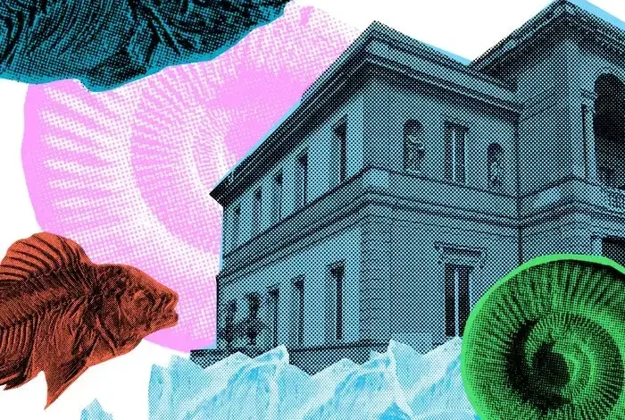 Coolturalia - Earth Stories: Burgess Fossils