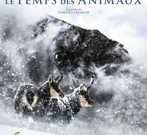 Coolturalia - Preview: Derborence - Le Temps Des Animaux